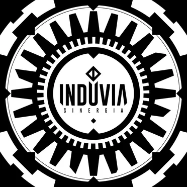 Sinergia by Induvia - album cover