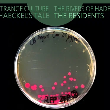 Strange Culture / The Rivers of Hades / Haeckel’s Tale by The Residents - album cover