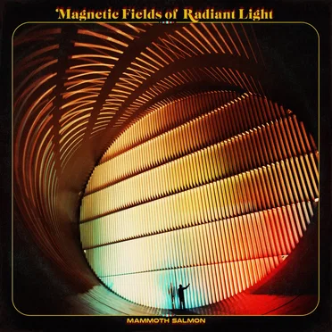 Magnetic Fields of Radiant Light