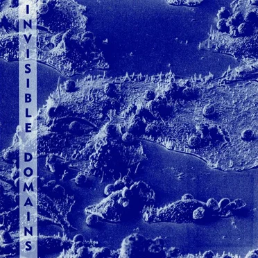 Invisible Domains by Various Artists - album cover