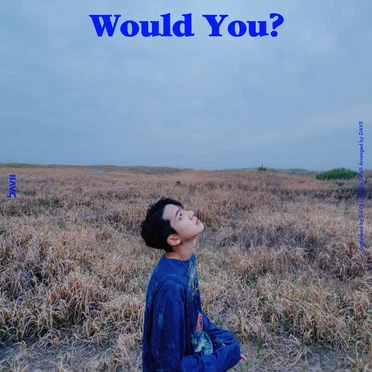 Would You? by DAVII - album cover