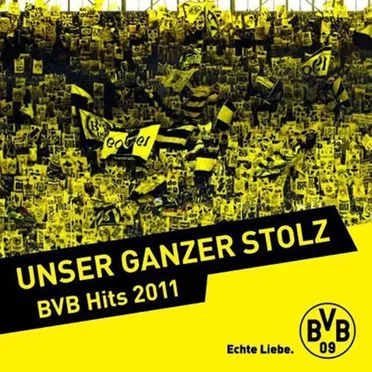 Unser ganzer Stolz: BVB Hits 2011 by Various Artists - album cover