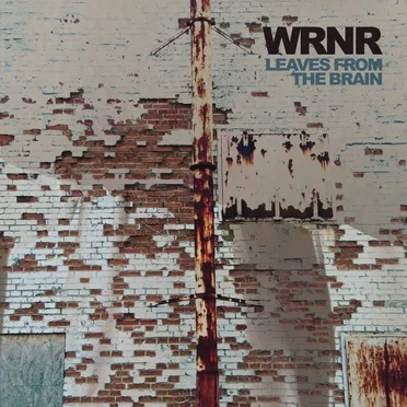 Leaves From the Brain
