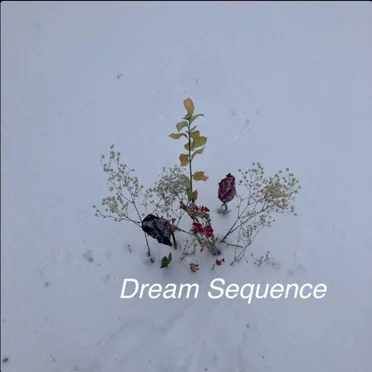 Dream Sequence