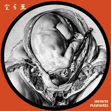 Infinite Pleasures
