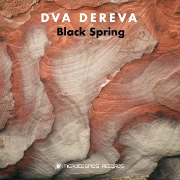 Black Spring by Dva Dereva - album cover