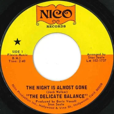 The Night Is Almost Gone by Delicate Balance - album cover
