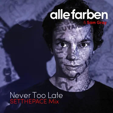 Never Too Late (SETTHEPACE mix)