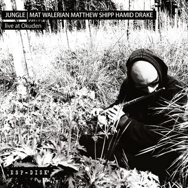 Live at Okuden by Jungle - album cover