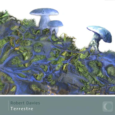 Terrestre