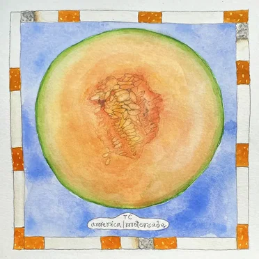 America / Motorcade by Tobacco City - album cover