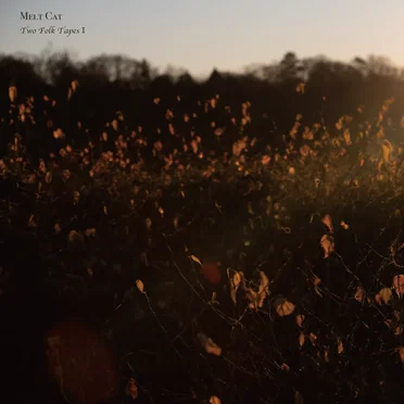 Two Folk Tapes Ⅰ
