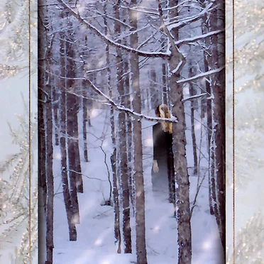crystal snow