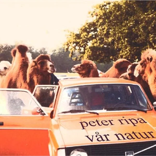 vår natur