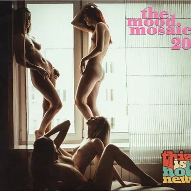 The Mood Mosaic 20: This Is Hot New by Various Artists - album cover