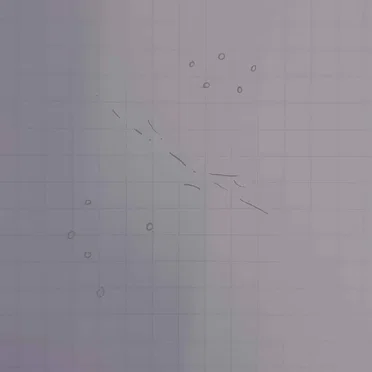 SP:NL000