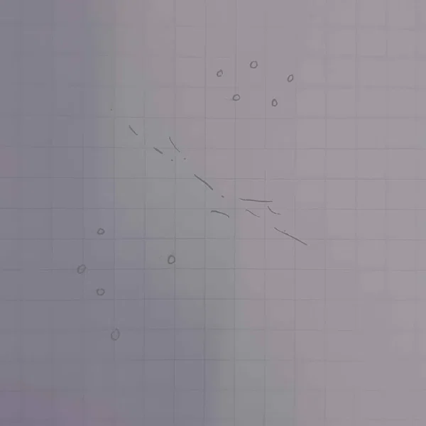 SP:NL000