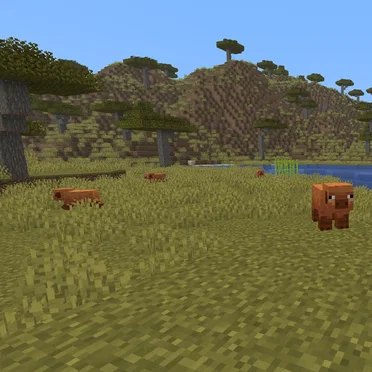 Minecraft Pig