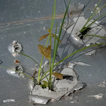 Take Charge and Move In by Clasps - album cover