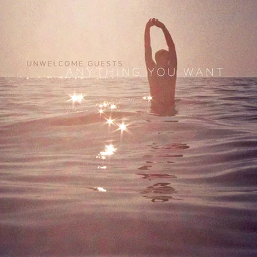 Anything You Want by Unwelcome Guests - album cover