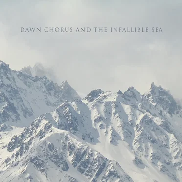 Dawn Chorus and the Infallible Sea by Dawn Chorus and the Infallible Sea - album cover