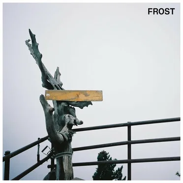 Frost