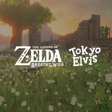 'Zelda: Breath of the Wild' Remixed