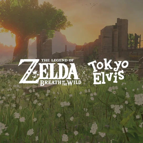 'Zelda: Breath of the Wild' Remixed