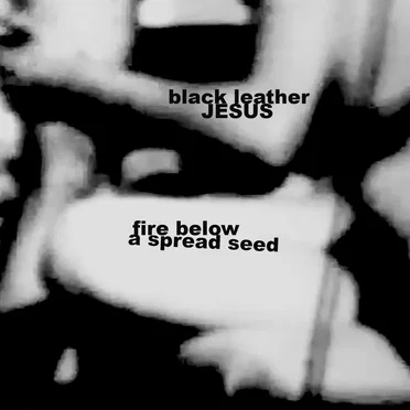Fire Below a Spread Seed
