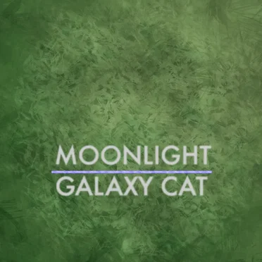 Moonlight by Galaxy Cat - album cover