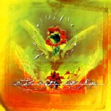 Taste of Sorrow by The Breath of Life - album cover