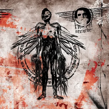 Slaves & Whores by Necrorder - album cover