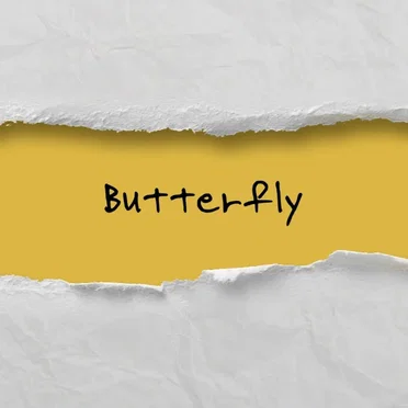 Butterfly by Dreamcatcher DAMI - album cover
