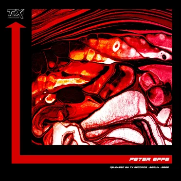 The Last Rave by Peter Effe - album cover