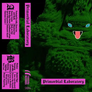 Primordial Laboratory