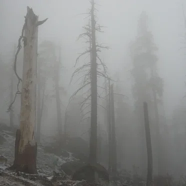 Mount Eerie, pts. 6 & 7