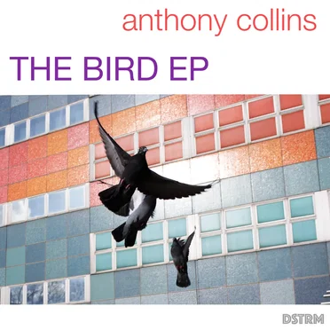 the bird ep by Anthony Collins - album cover