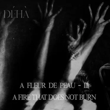 A fleur de peau – III – A Fire That Does Not Burn