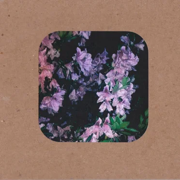 Leaves Painted Purple [Expanded]