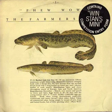 Phew Wow by The Farmer's Boys - album cover