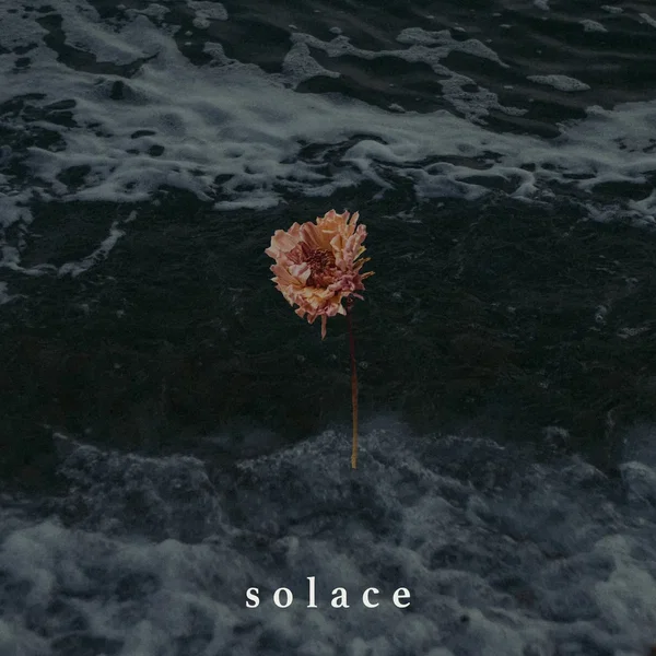 Solace