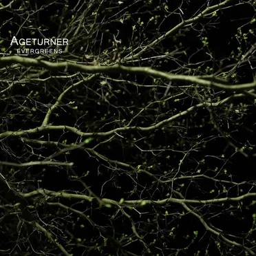 Evergreens by Ageturner - album cover