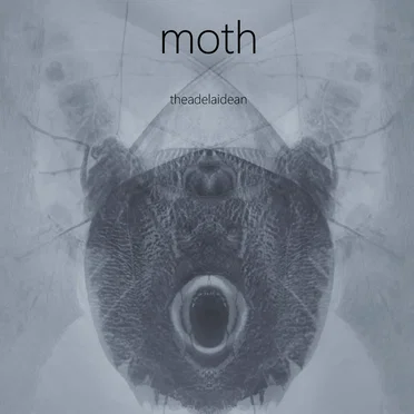 moth