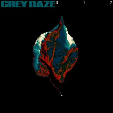 B12 by Grey Daze - album cover