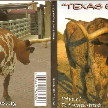 Texas Blues Project Vol.1
