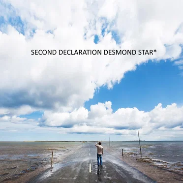 Second Declaration