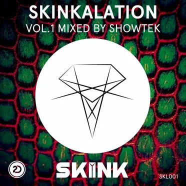 Skinkalation Vol.1 by Various Artists - album cover
