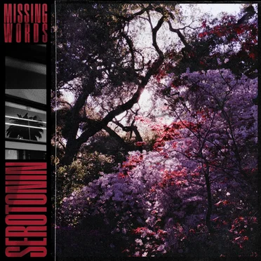 Serotonin by Missing Words - album cover