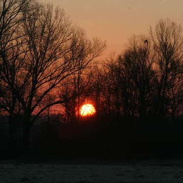 Winter Eternal