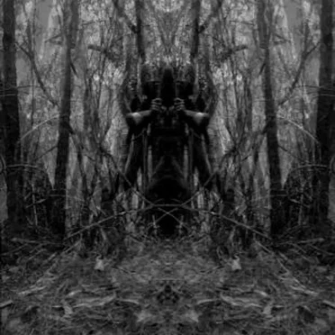 Forest Rain EP